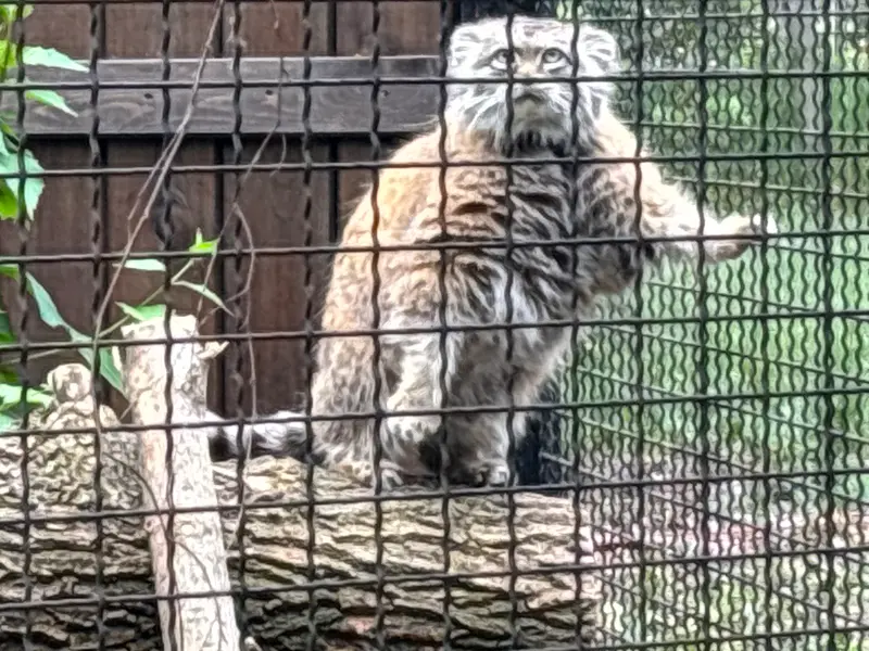 A photograph of Jessie in Warsaw Zoo