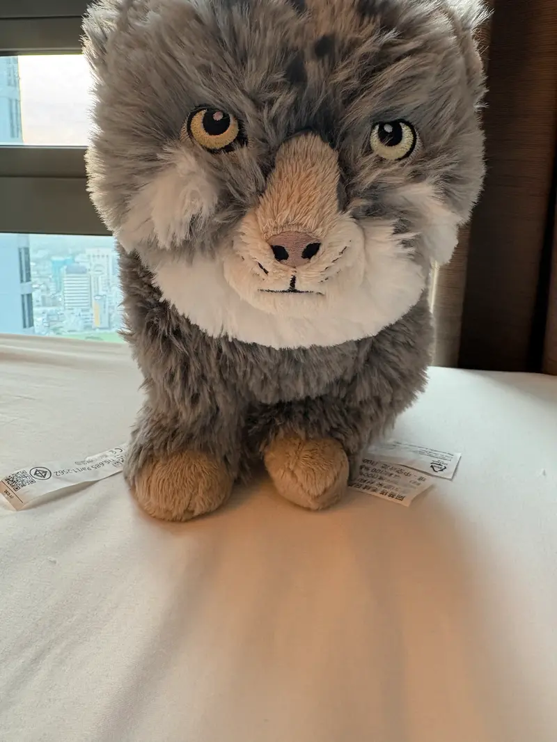 I got the IKEA Pallas’s cat plush