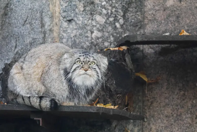 A photograph of Timofey in Moscow zoo