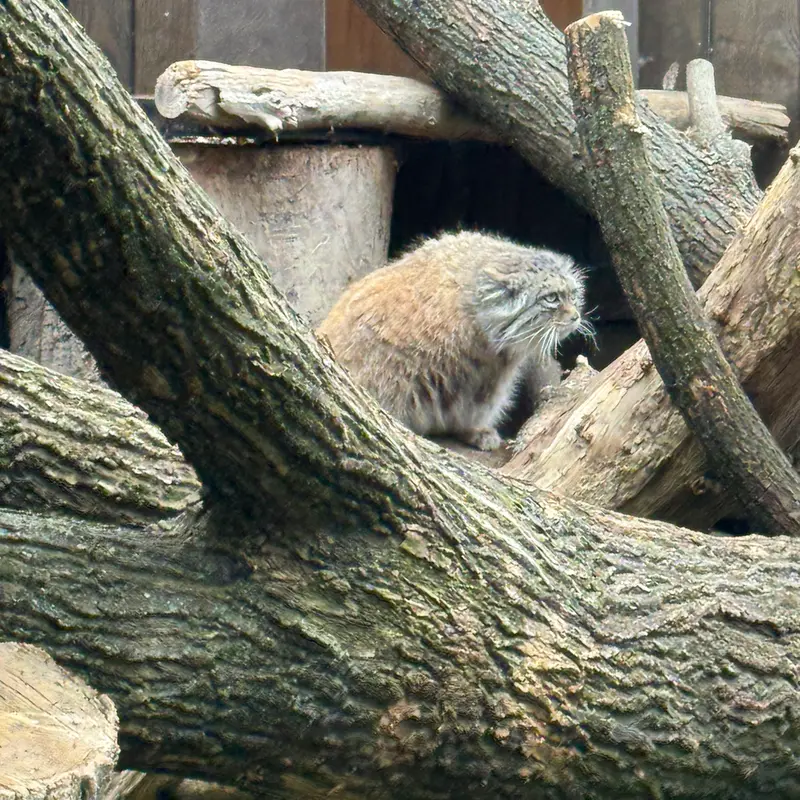 A photograph of Jessie in Warsaw Zoo