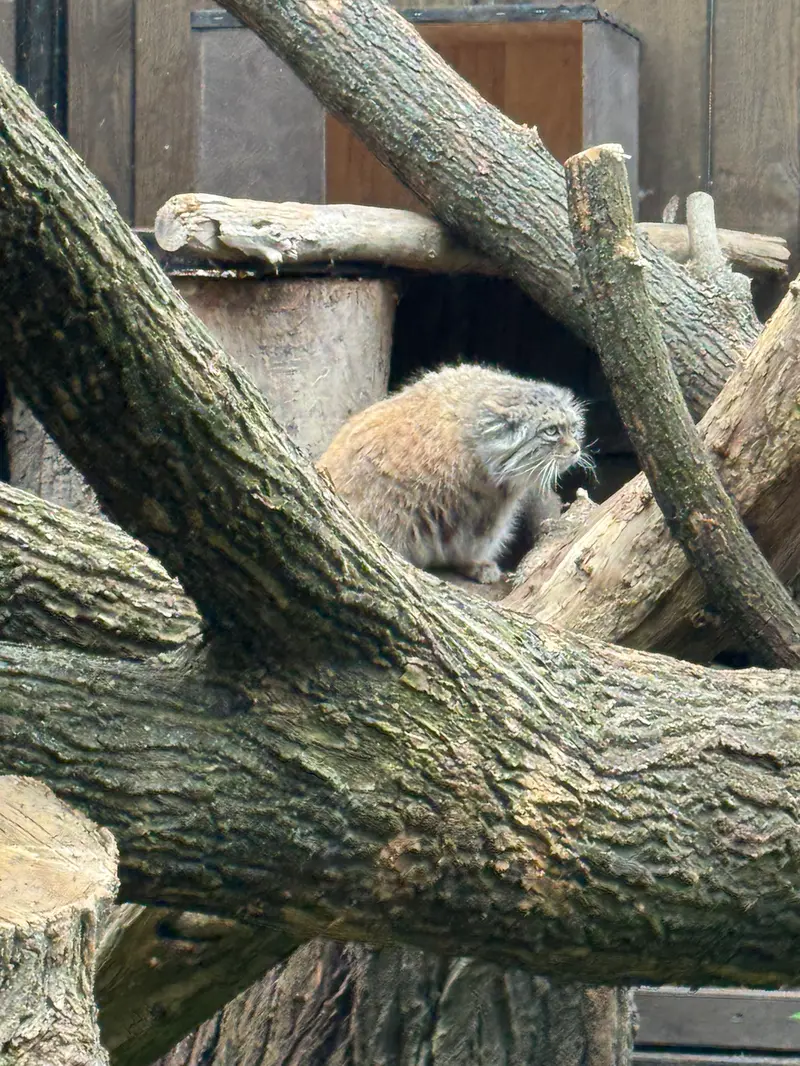 A photograph of Jessie in Warsaw Zoo