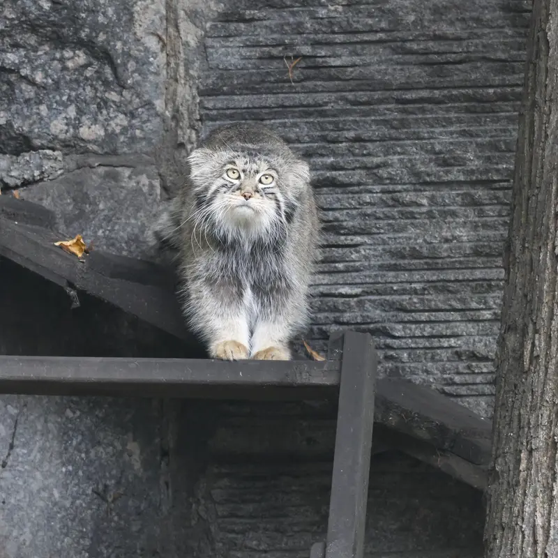 A photograph of Timofey in Moscow zoo