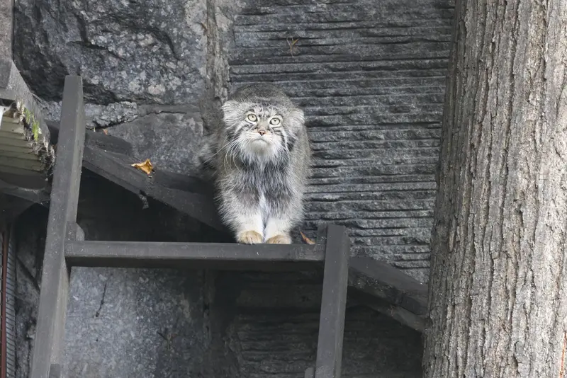 A photograph of Timofey in Moscow zoo