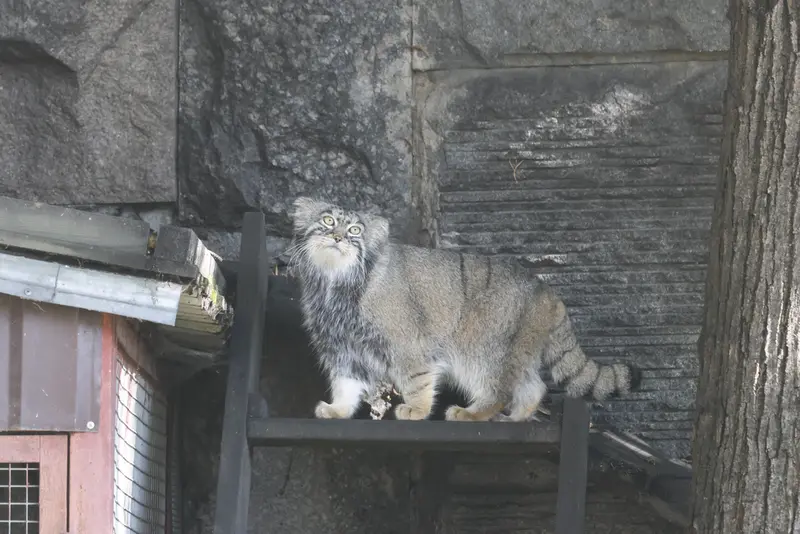 A photograph of Timofey in Moscow zoo