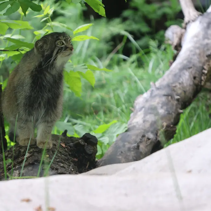 A photograph of Timofey in Moscow zoo