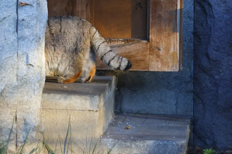 A photograph of Timofey in Moscow zoo
