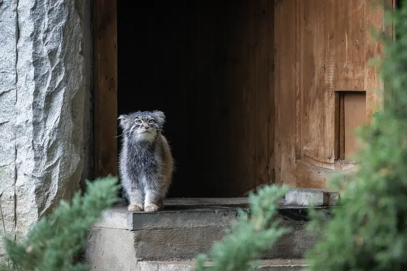 A photograph of Timofey in Moscow zoo