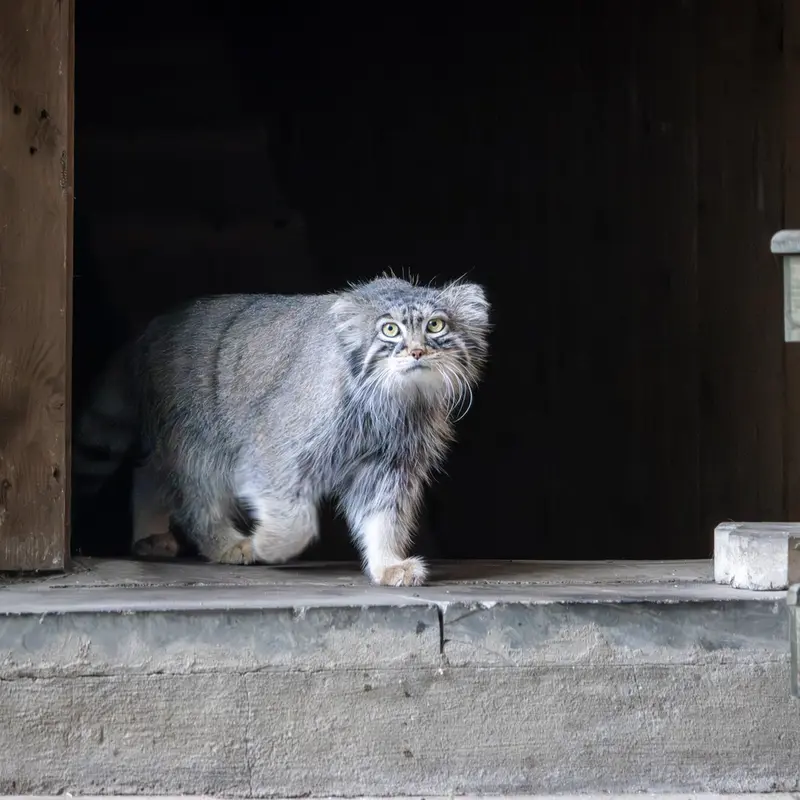 A photograph of Timofey in Moscow zoo