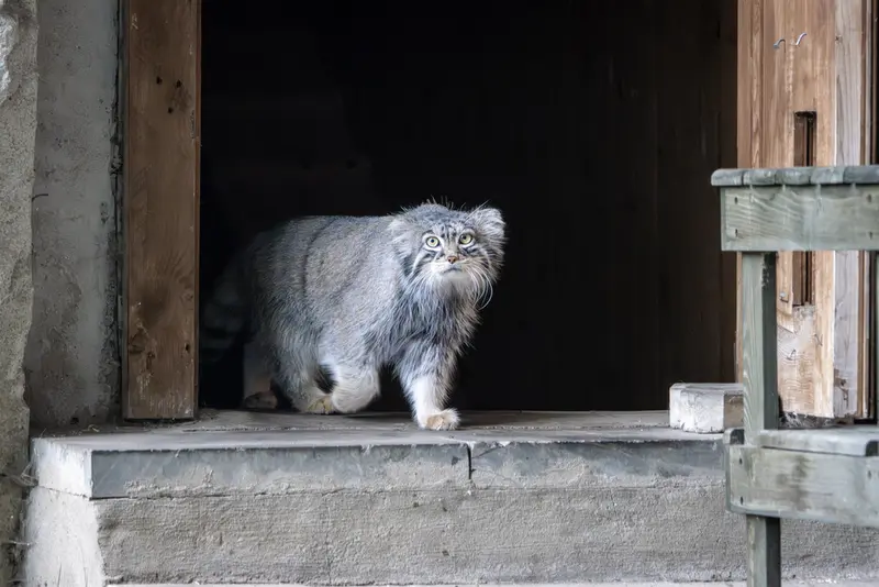 A photograph of Timofey in Moscow zoo