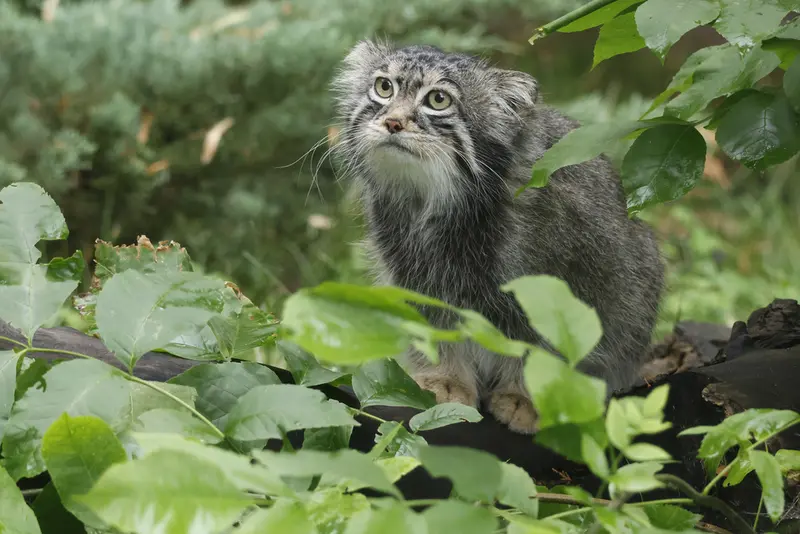 A photograph of Timofey in Moscow zoo