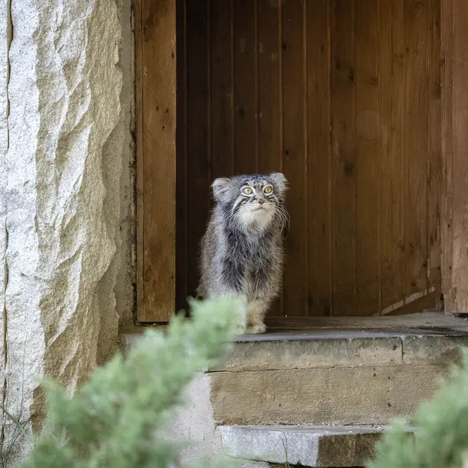 A photograph of Timofey in Moscow zoo