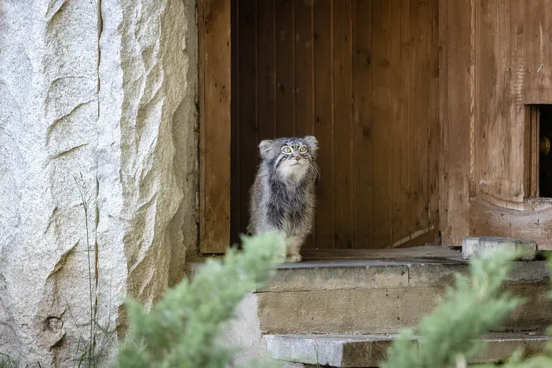 A photograph of Timofey in Moscow zoo