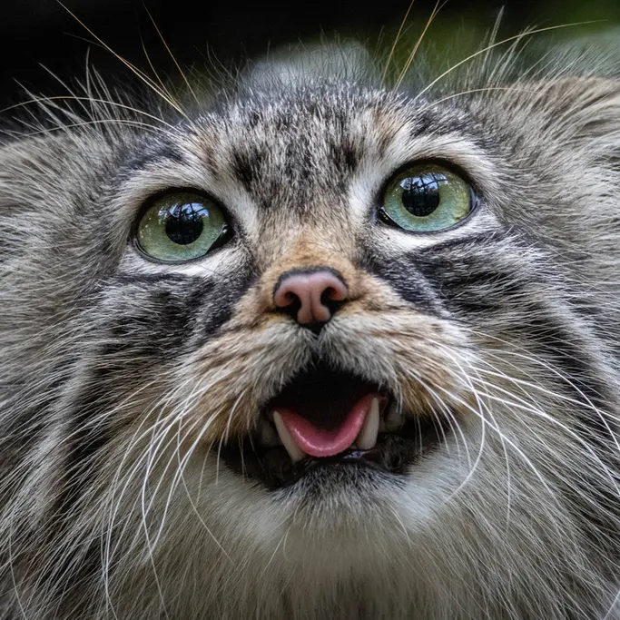 A photograph of Gabi in Novosibirsk Zoo