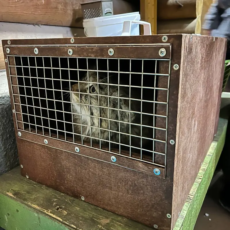 A photograph of Pepe in Leningrad zoo