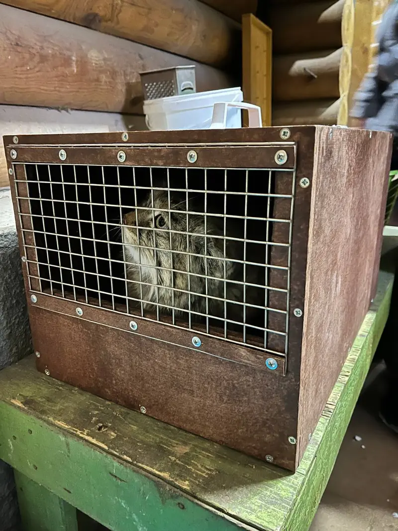 A photograph of Pepe in Leningrad zoo