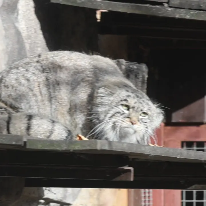 A photograph of Timofey in Moscow zoo