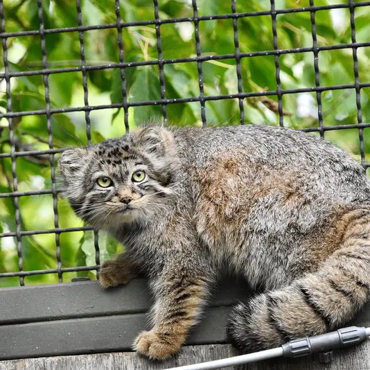 A photograph of Manuela in Tierpark Berlin