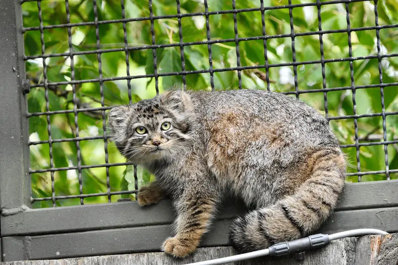 A photograph of Manuela in Tierpark Berlin