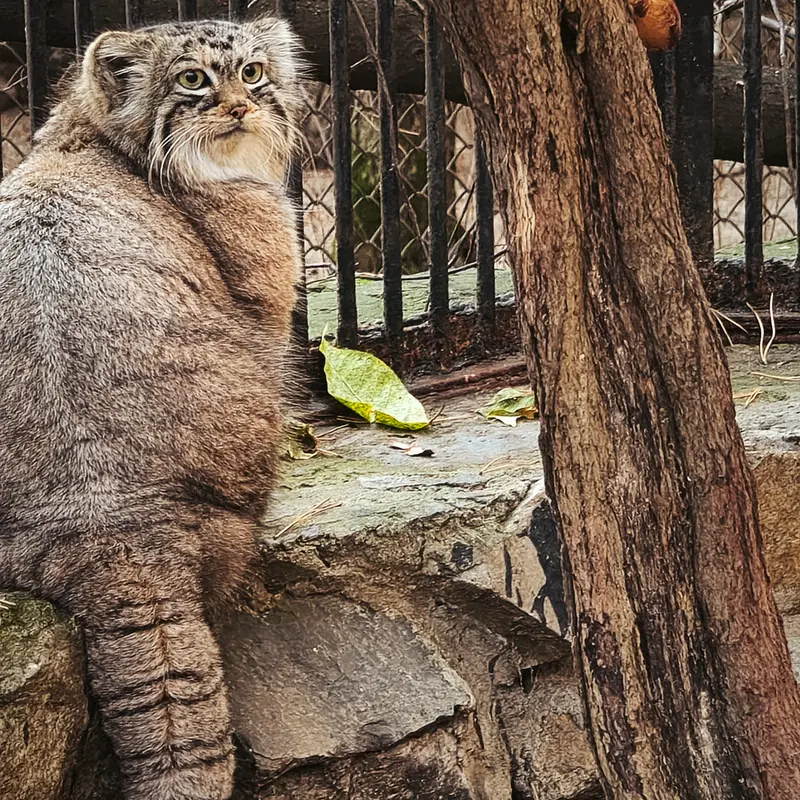A photograph of Anya in Novosibirsk Zoo