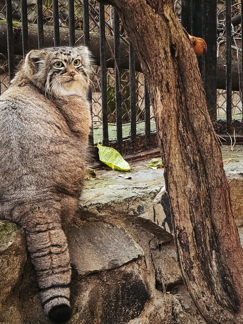 A photograph of Anya in Novosibirsk Zoo