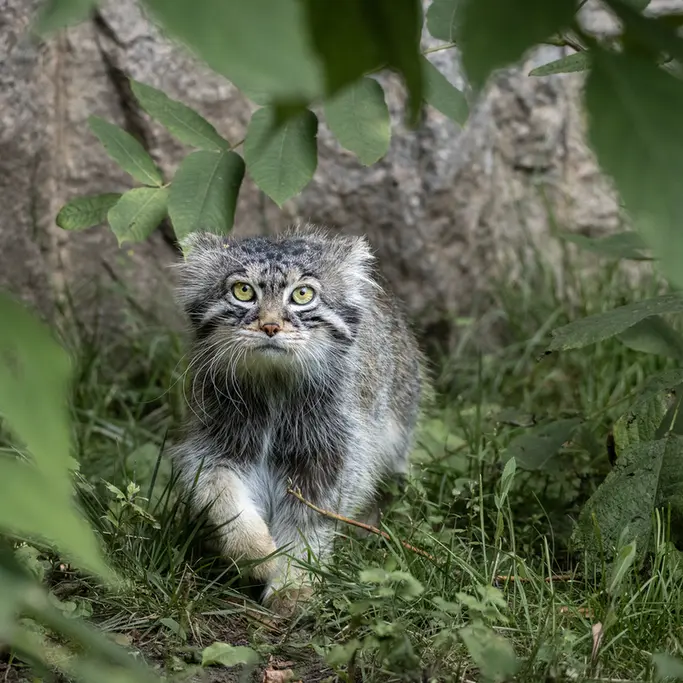 A photograph of Timofey in Moscow zoo