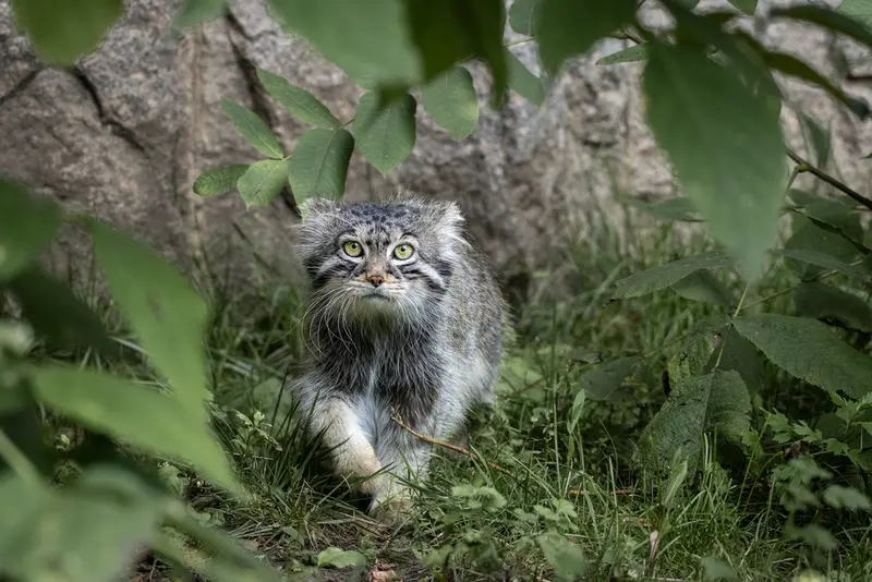 A photograph of Timofey in Moscow zoo