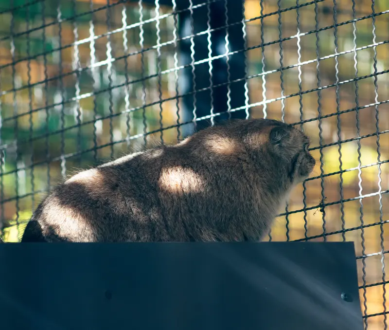 A photograph of Melissa in Lithuanian Zoo