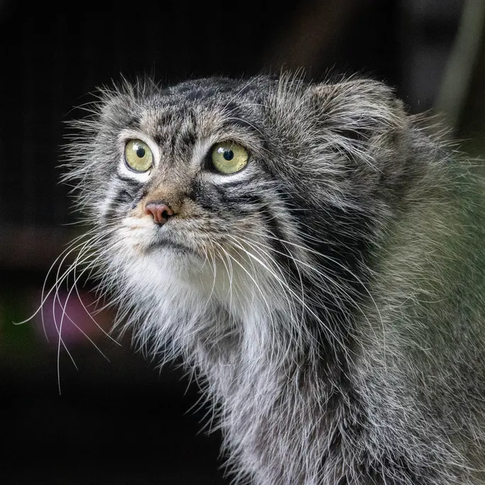 A photograph of Timofey in Moscow zoo