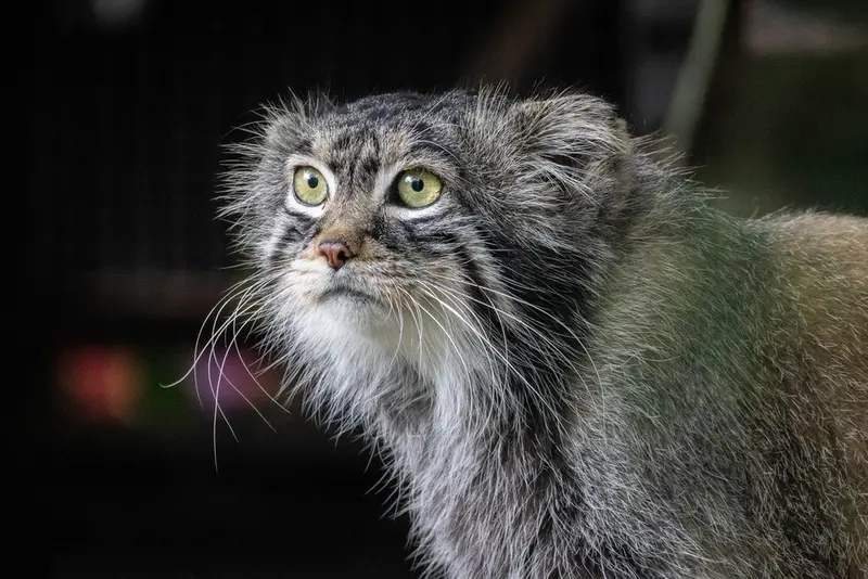A photograph of Timofey in Moscow zoo