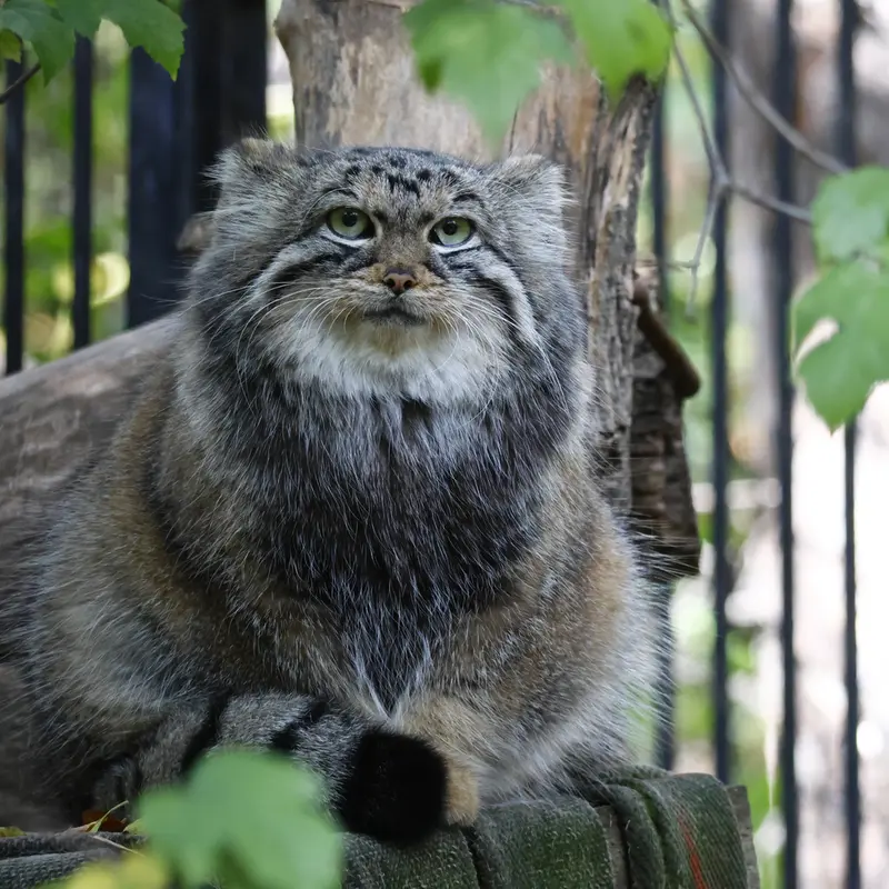 A photograph of Anya in Novosibirsk Zoo