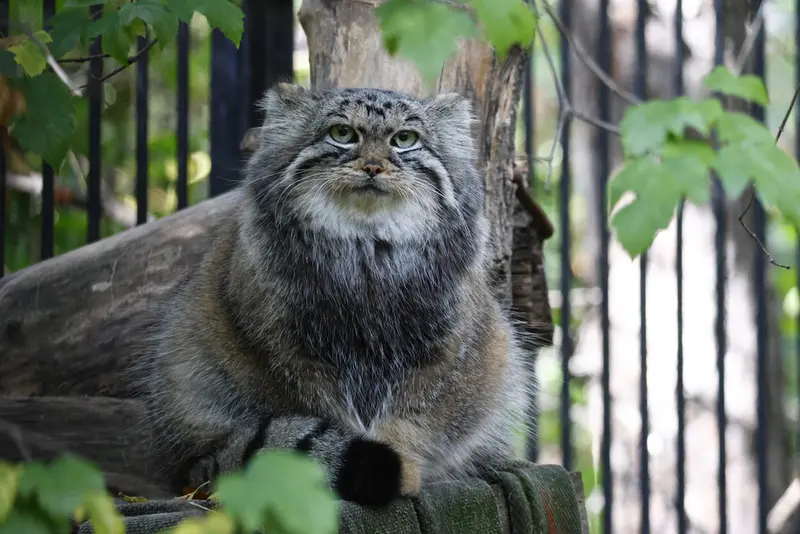 A photograph of Anya in Novosibirsk Zoo