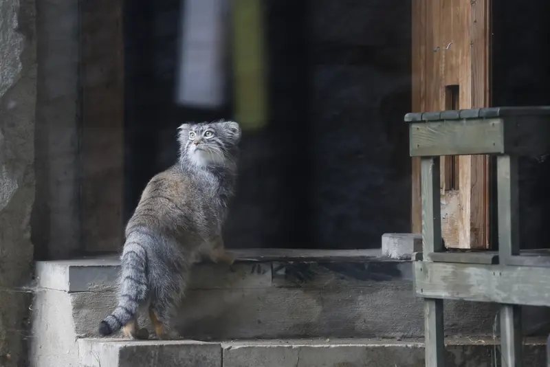 A photograph of Timofey in Moscow zoo