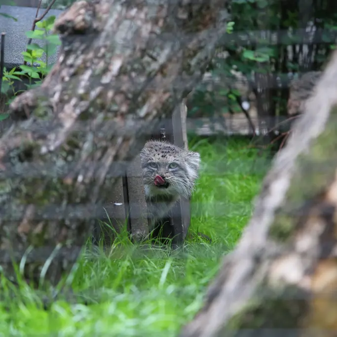 A photograph of Jessie in Warsaw Zoo
