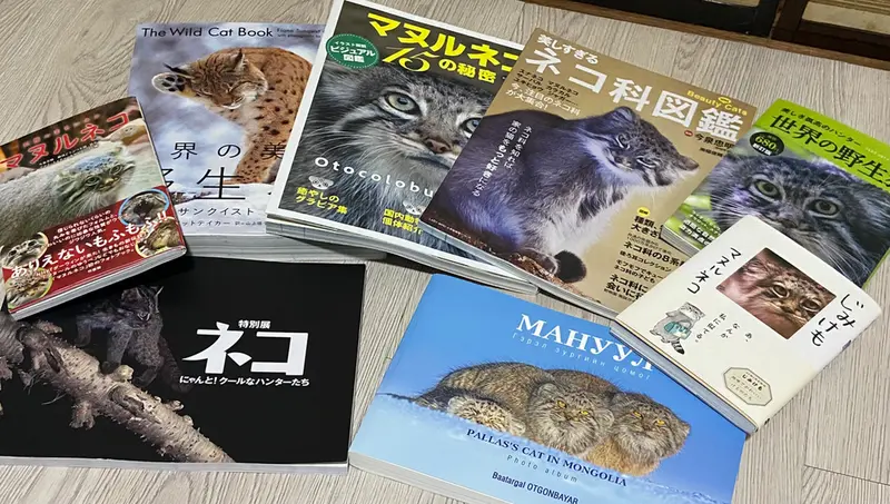 A photograph of a Pallas's cat