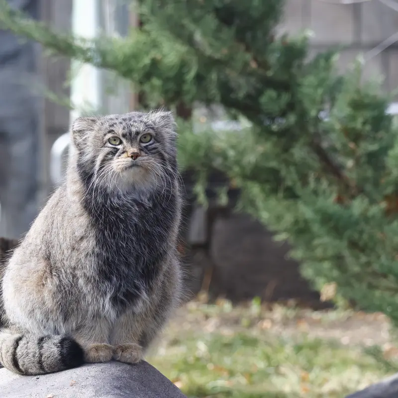 A photograph of Timofey in Moscow zoo