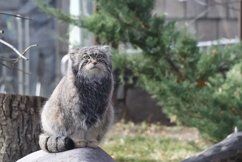 A photograph of Timofey in Moscow zoo