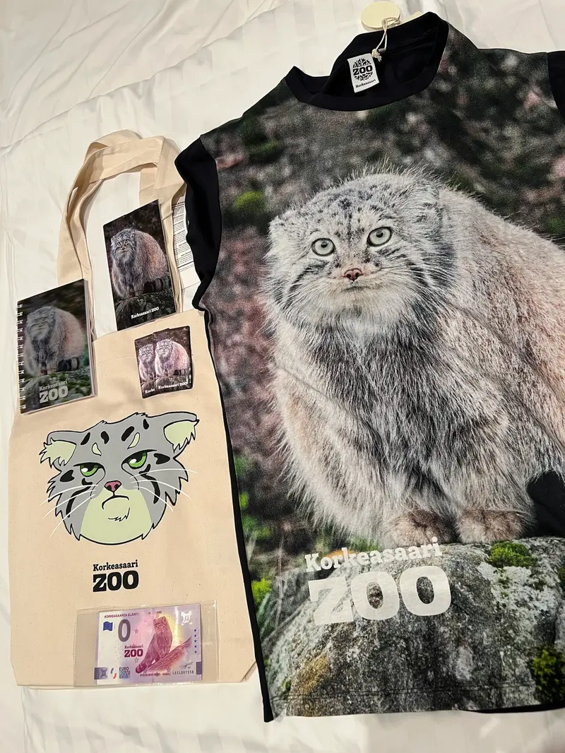 A photograph of a Pallas's cat in Korkeasaari Zoo