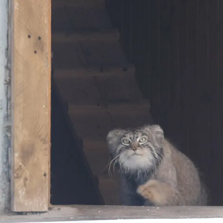 A photograph of Timofey in Moscow zoo