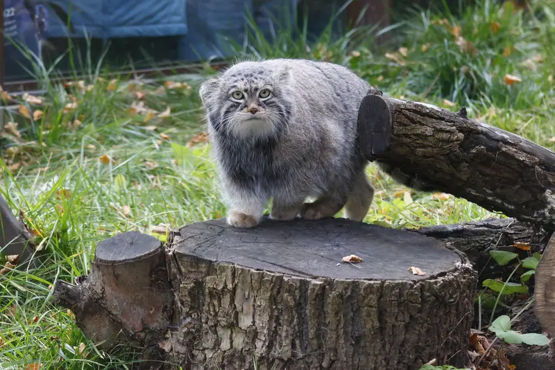 A photograph of Timofey in Moscow zoo