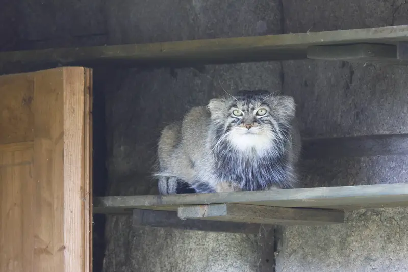 A photograph of Timofey in Moscow zoo