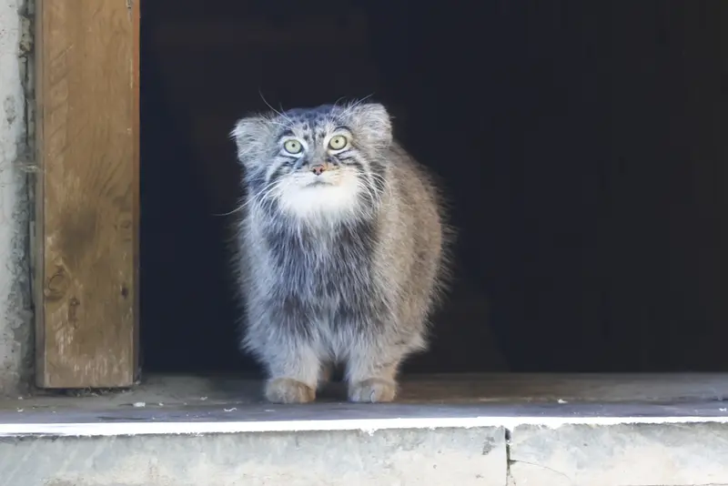 A photograph of Timofey in Moscow zoo