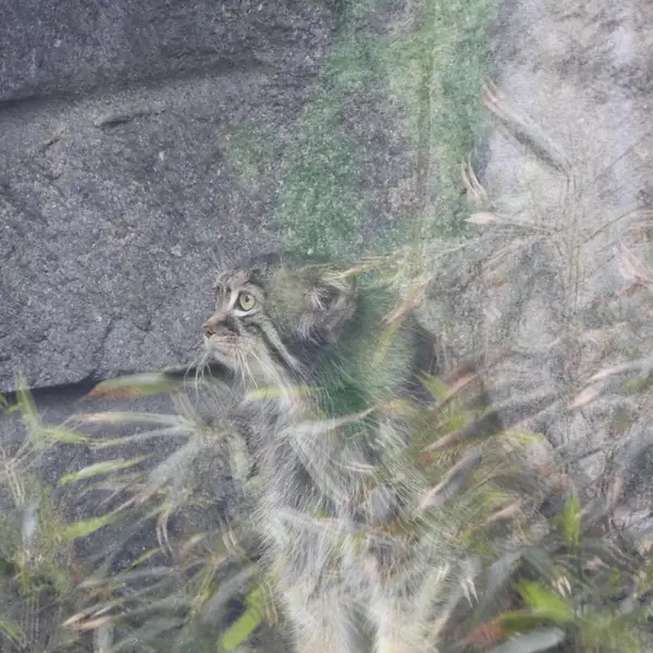 A photograph of Timofey in Moscow zoo