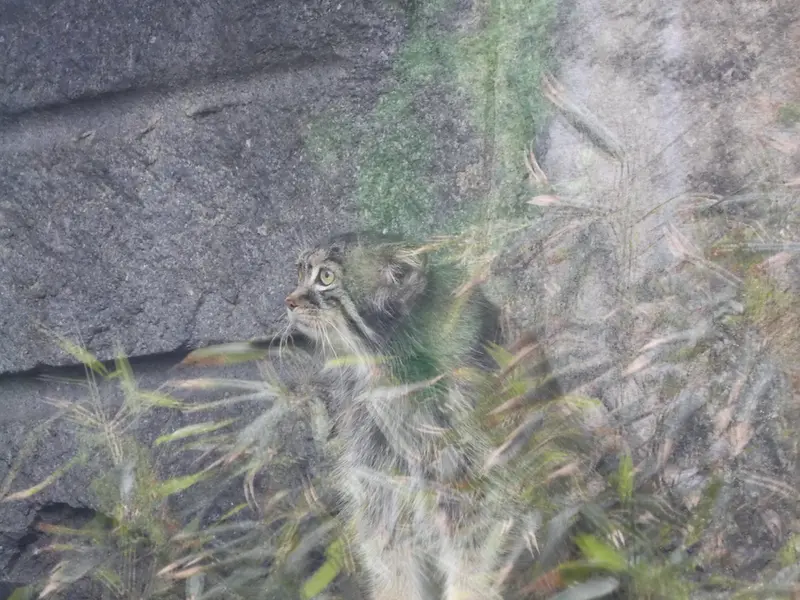 A photograph of Timofey in Moscow zoo
