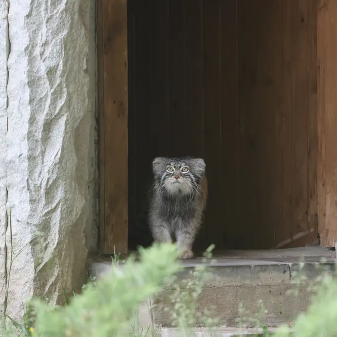 A photograph of Timofey in Moscow zoo