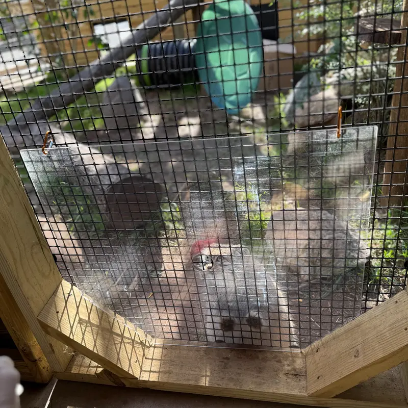 A photograph of Reza in Elmwood Park Zoo