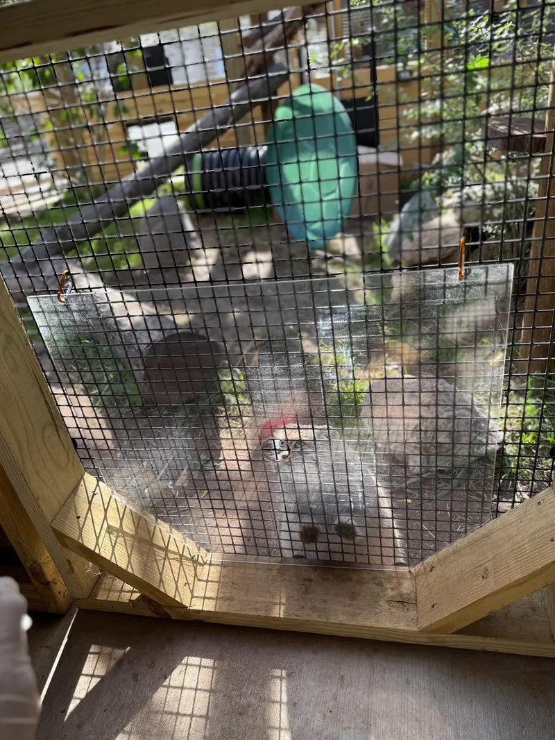 A photograph of Reza in Elmwood Park Zoo