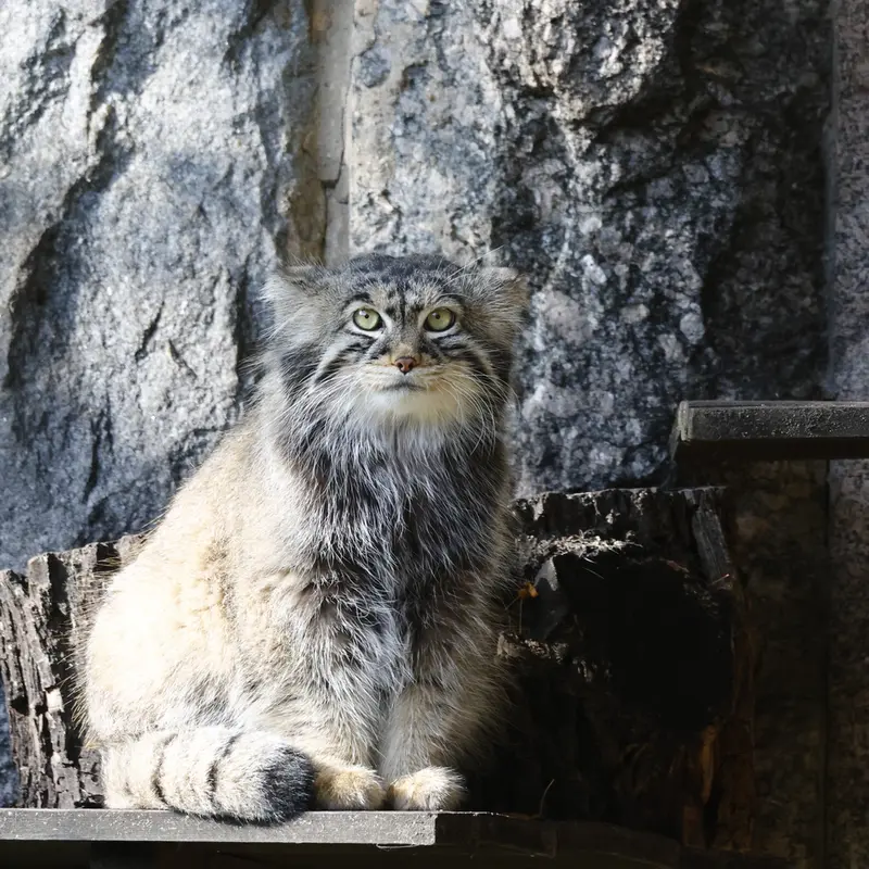 A photograph of Timofey in Moscow zoo