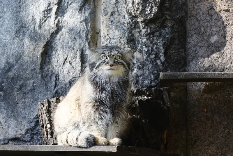 A photograph of Timofey in Moscow zoo