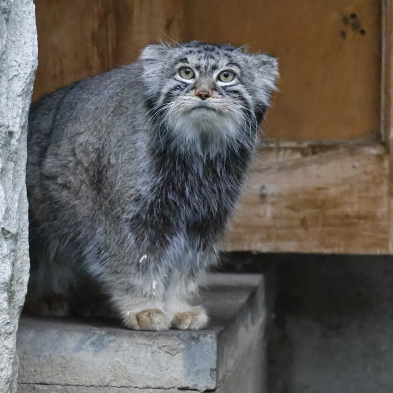 A photograph of Timofey in Moscow zoo
