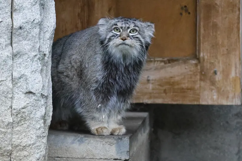 A photograph of Timofey in Moscow zoo